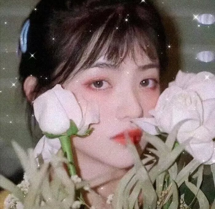 羊惧